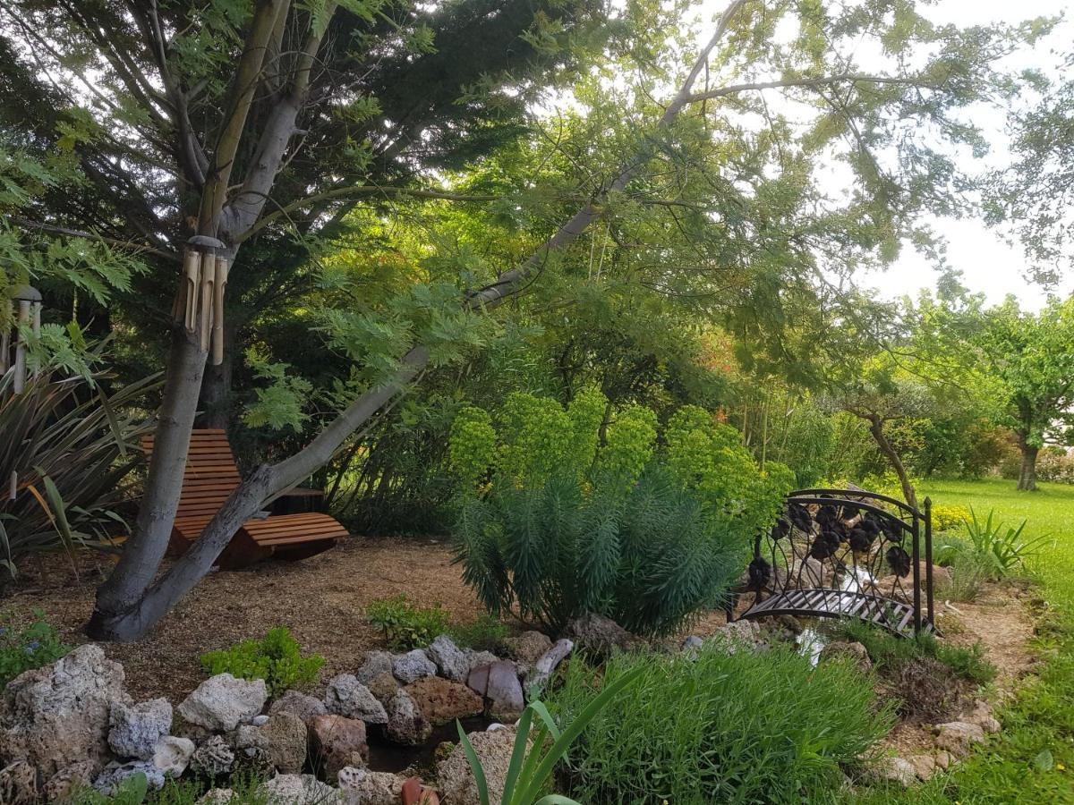 Maison Mimosa Salernes Εξωτερικό φωτογραφία