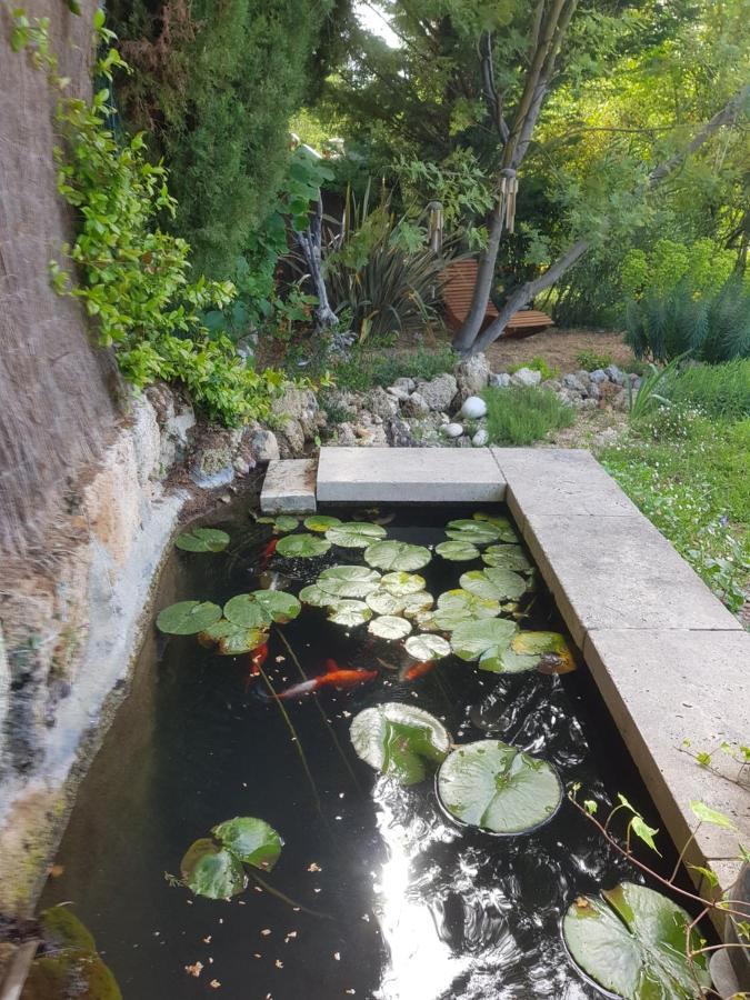 Maison Mimosa Salernes Εξωτερικό φωτογραφία